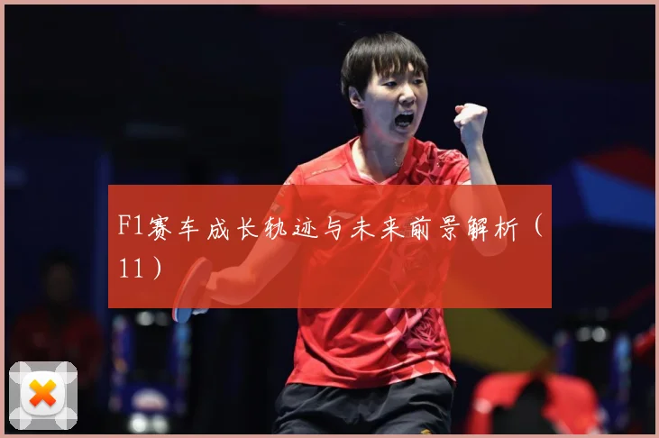 F1赛车成长轨迹与未来前景解析（11）