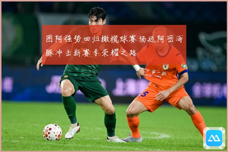 图阿强势回归橄榄球赛场迈阿密海豚冲击新赛季荣耀之路